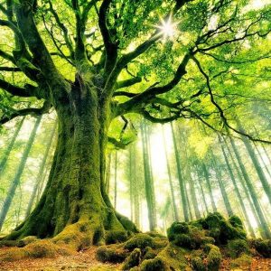 3er Coaching Paket für Privatpersonen